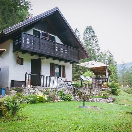 Naturalina Holiday House Gorenja Trebusa المظهر الخارجي الصورة