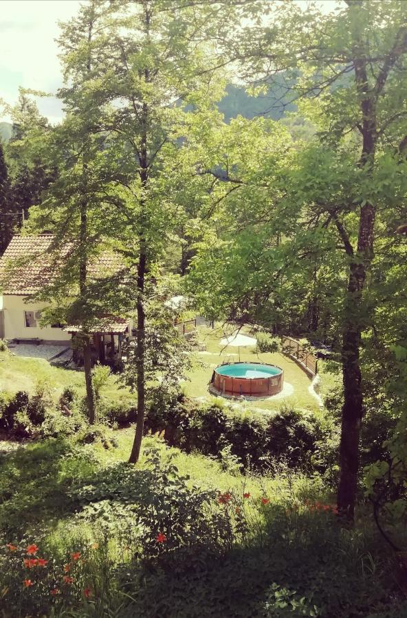 Naturalina Holiday House Gorenja Trebusa المظهر الخارجي الصورة