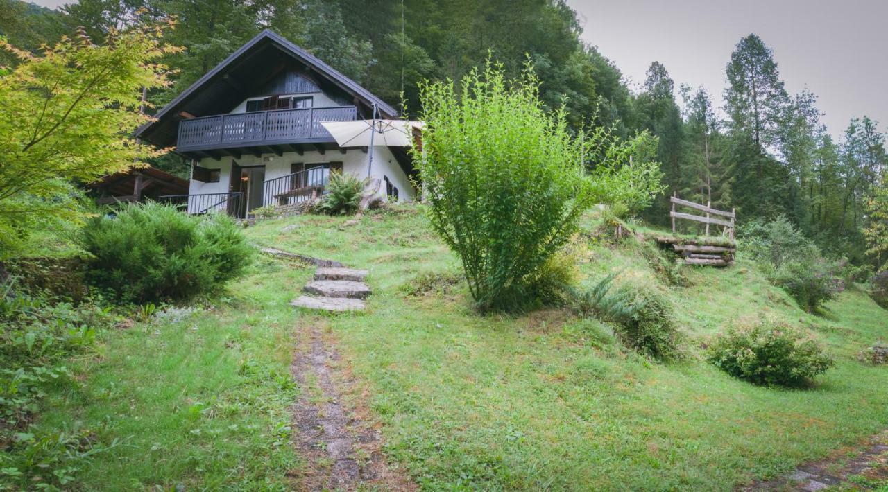 Naturalina Holiday House Gorenja Trebusa المظهر الخارجي الصورة