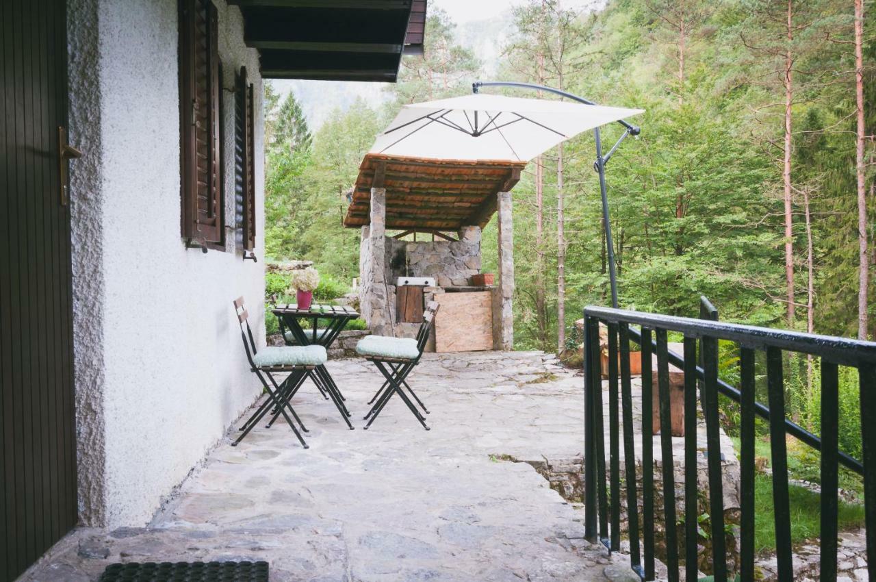 Naturalina Holiday House Gorenja Trebusa المظهر الخارجي الصورة