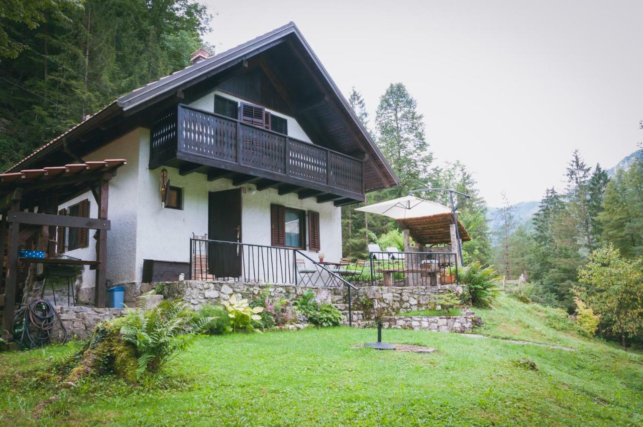 Naturalina Holiday House Gorenja Trebusa المظهر الخارجي الصورة