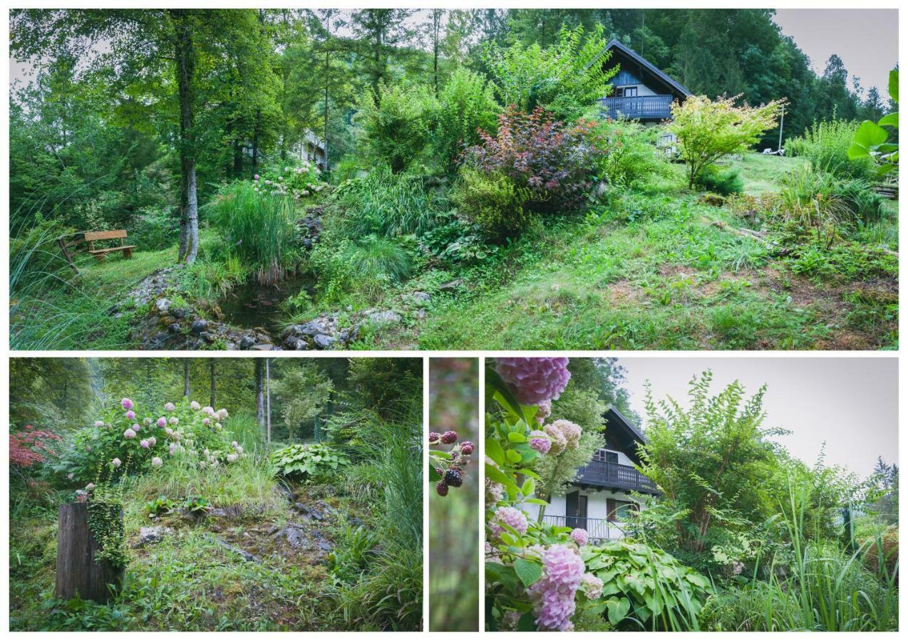 Naturalina Holiday House Gorenja Trebusa المظهر الخارجي الصورة